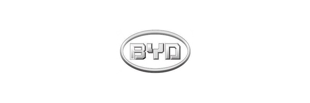 Byd